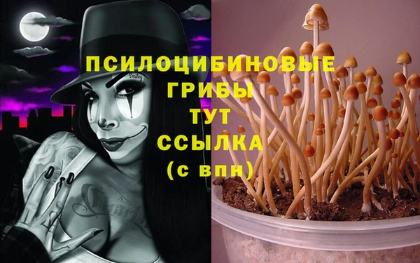 кокаин перу Алексин