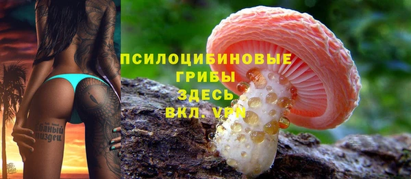 гашик Алзамай