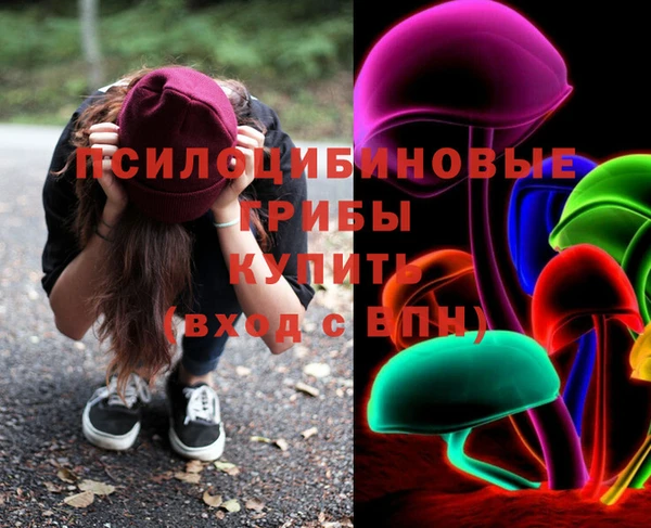 индика Алексеевка