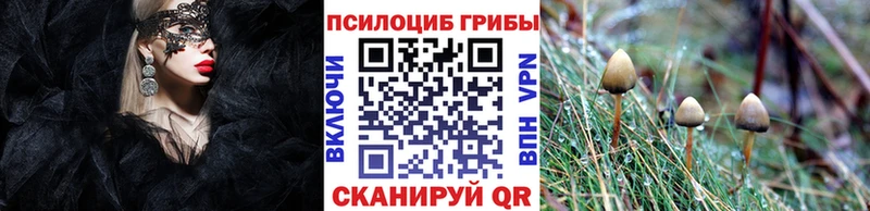Псилоцибиновые грибы ЛСД  кракен вход  Лаишево  купить закладку 